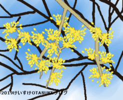 サンシュユのイラスト