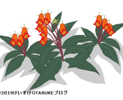 シーマニアのイラスト