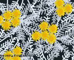 シロタエギクのイラスト