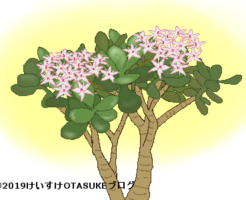 カネノナルキのイラスト