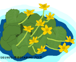 リュウキンカのイラスト