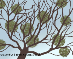 ヤドリギのイラスト