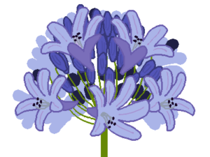 『誠実』の花言葉を並べたよ!真面目な気持ちを伝える花をどうぞ!