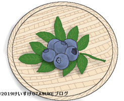 ブルーベリーのイラスト