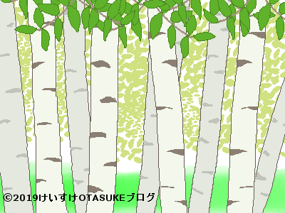 白樺の花言葉を詳しく 涼しい土地に生える白い木のメッセージとは