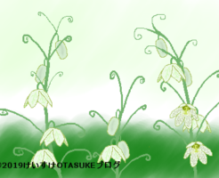 バイモユリのイラスト