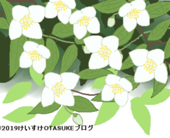 バイカウツギのイラスト