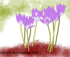 コルチカムのイラスト