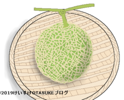 メロンのイラスト