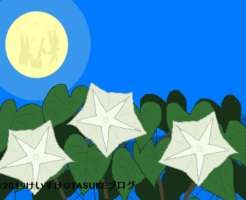 ヨルガオのイラスト