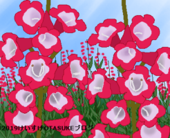 ペンステモンのイラスト