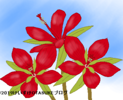モミジアオイのイラスト
