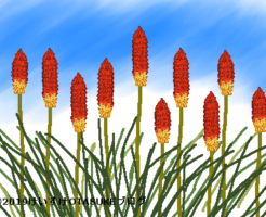 トリトマのイラスト