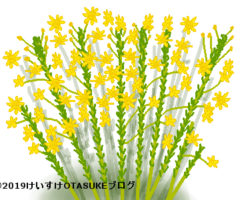 ゴールデンクラッカーのイラスト