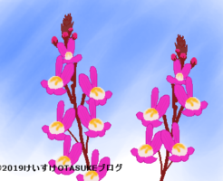 リナリアのイラスト