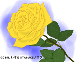 黄色いバラのイラスト