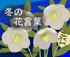 冬の花言葉のイラスト