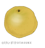 梨のイラスト