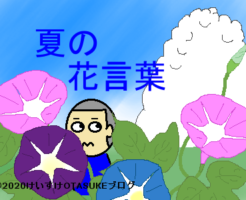 夏の花言葉のイラスト