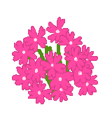 バーベナの花言葉 ピンク色に 家族愛 という意味が付いたワケ