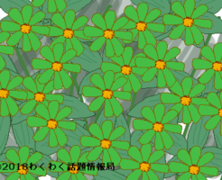 緑色の花言葉のタイトルイラスト