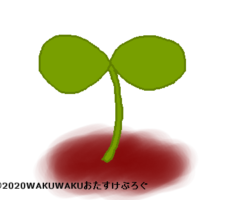 希望の花言葉タイトルイラスト