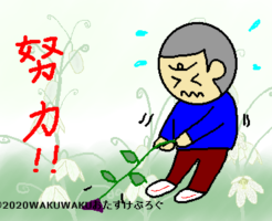 努力の花言葉タイトルイラスト