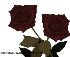 ドライフラワーの花言葉タイトルイラスト