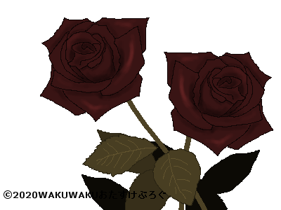 ドライフラワーの花言葉タイトルイラスト